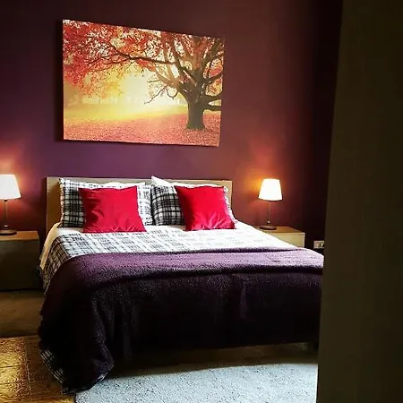 Bed & Breakfast Dream 117