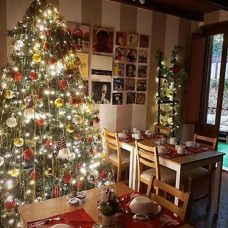 Dream 117 卡塔尼亚