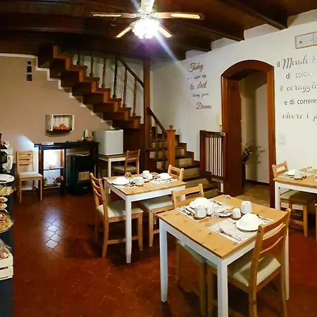 Dream 117 卡塔尼亚